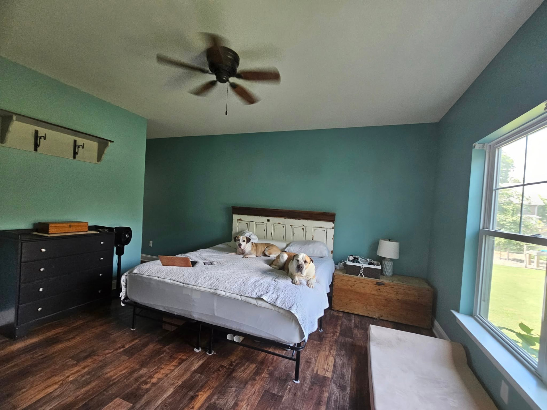 Same bedroom painted a deep teal-green with two dogs resting on the bed
